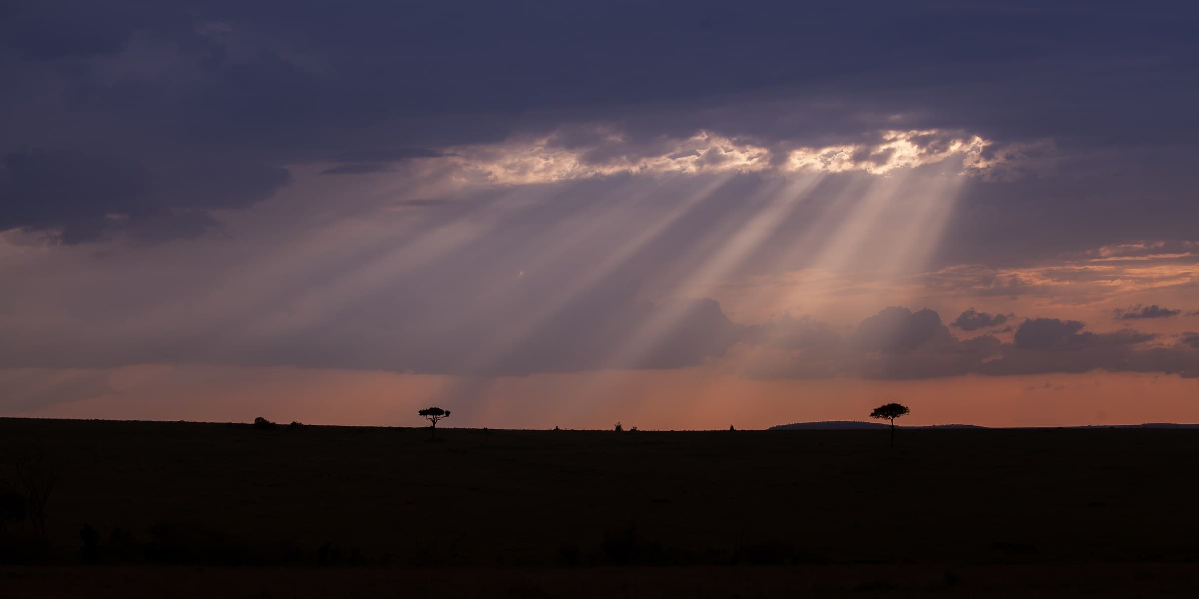 Rayos sobre la sabana