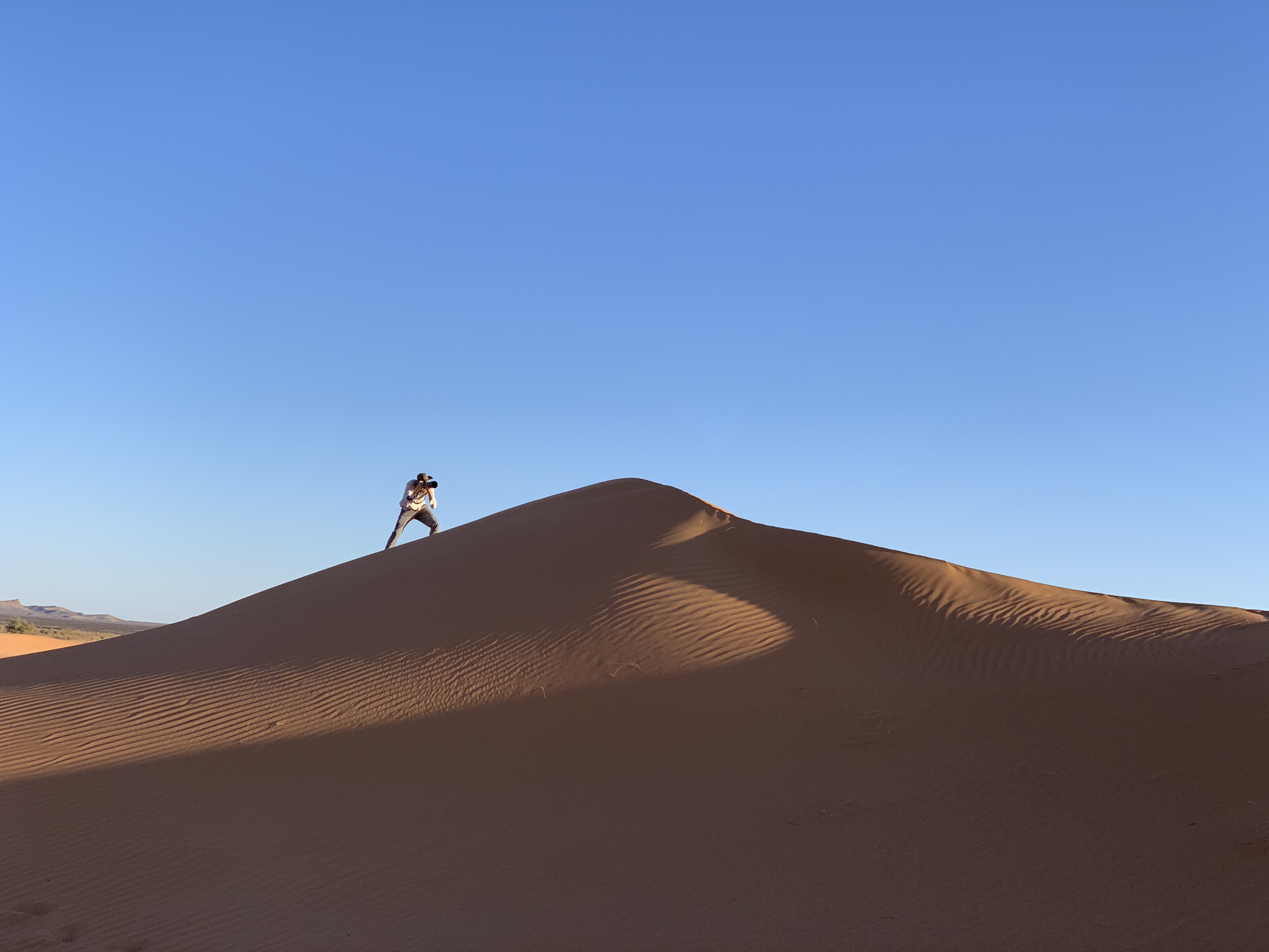 Retrato de D. Caballero